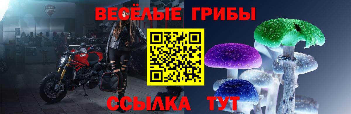 Псилоцибиновые грибы GOLDEN TEACHER  Вход с VPN  Коммунар 